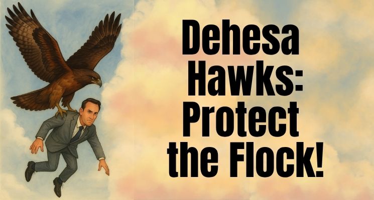 TheParenthawks